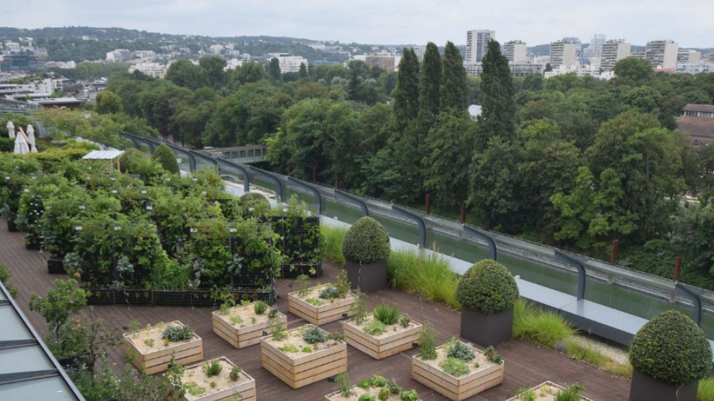 Urban Farming bei BNPPRE in Paris